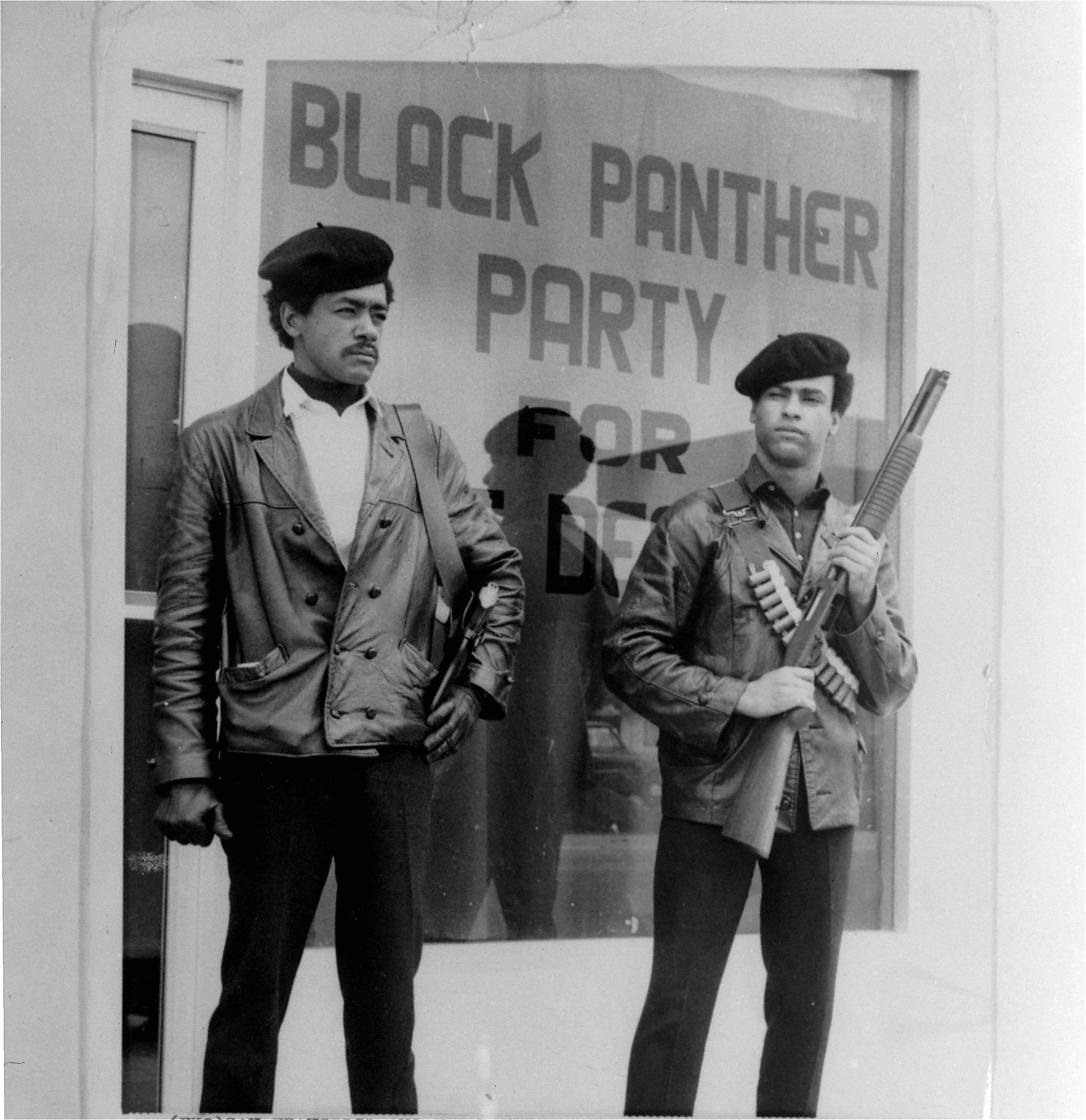 Rewriting History: Reworking the Black Panther Party’s Image